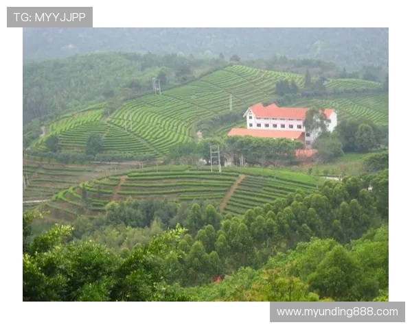 关于云顶山寨的具体地点和最佳旅游攻略